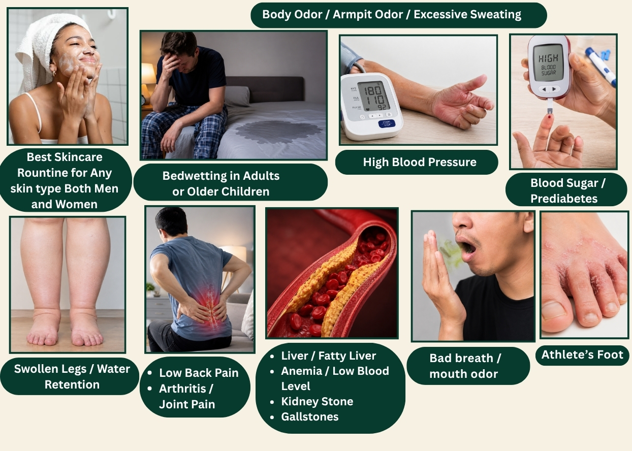 Examples of skincare, body odor, blood pressure, blood sugar, pain, liver, kidney, and foot problems covered inside The Health Truth Guide